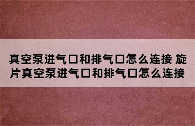 真空泵进气口和排气口怎么连接 旋片真空泵进气口和排气口怎么连接